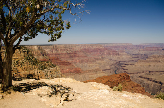 Grand Canyon National Park