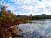 Chequamegon-Nicolet National Forest