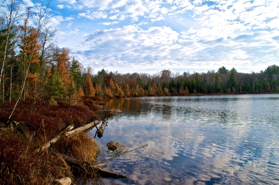 Chequamegon-Nicolet National Forest