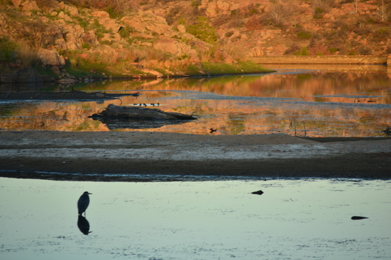 Wichita Mountains Wildlife Refuge
