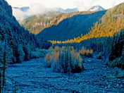 Mt.Ranier National Park