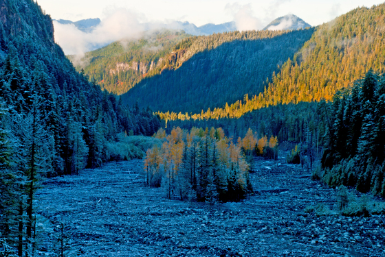 Mt.Ranier National Park