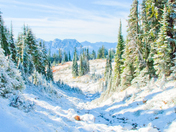 Mt. Ranier National Park