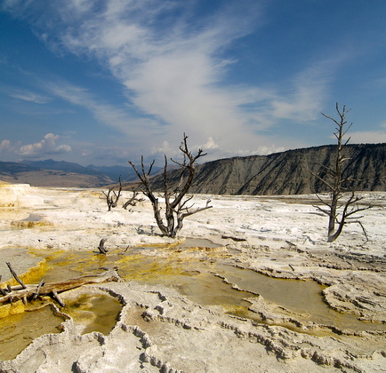 Yellowstone National Park