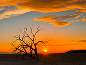 Salton Sea National Wildlife Refuge