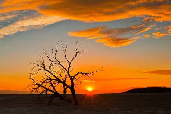 Salton Sea National Wildlife Refuge