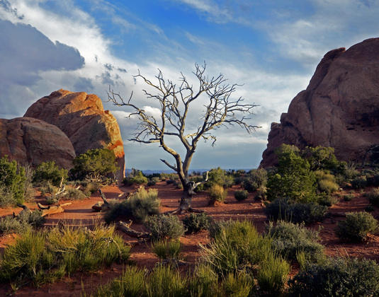 Arches NP