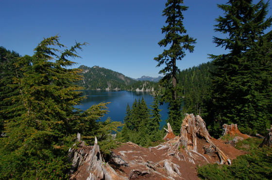 Snoqualmie National Forest