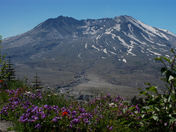Mount Saint Helens National Volcanic Monument