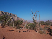 Grand Canyon National Park