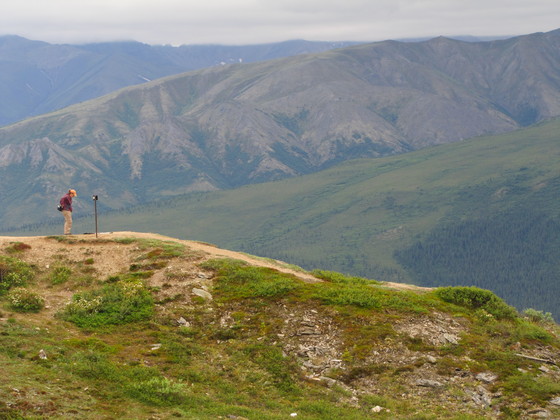 Denali National Park