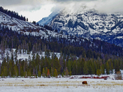Yellowstone National Park