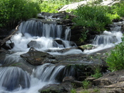 White River National Forest