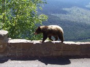 Glacier National Park
