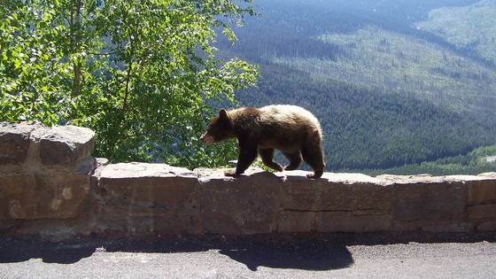 Glacier National Park