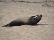 California Coastal National Monument
