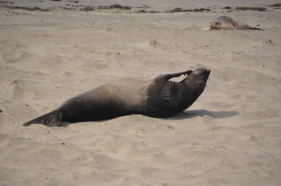 California Coastal National Monument