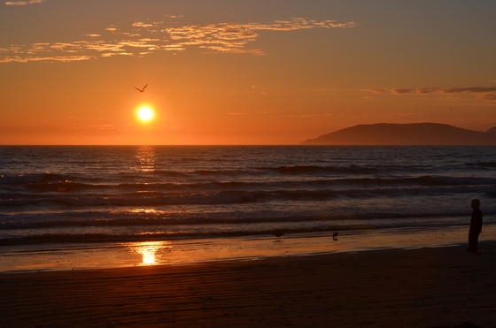 California Coastal National Monument