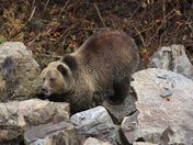 Glacier National Park