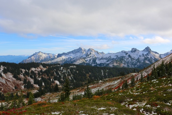 Mount Rainier National Park