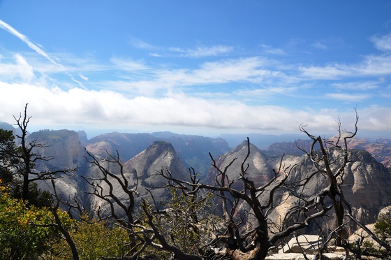 Zion National Park