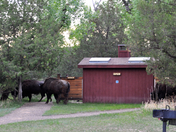Theodore Roosevelt National Park