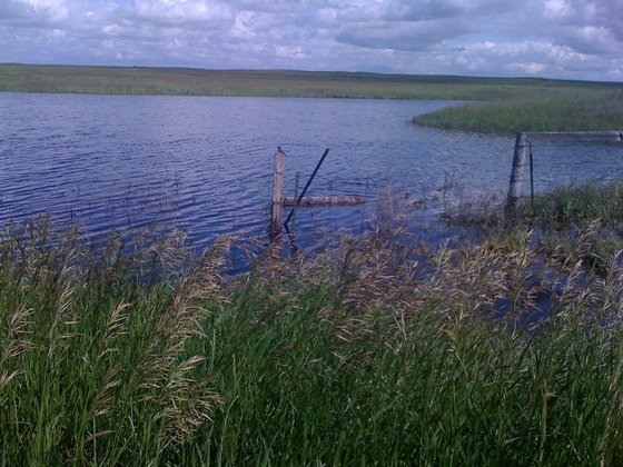 Medicine Lake MT
