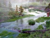 Yellowstone Park