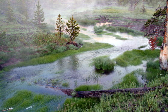 Yellowstone Park