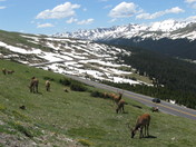 ROCKY MOUNTAIN NATIONAL PARK
