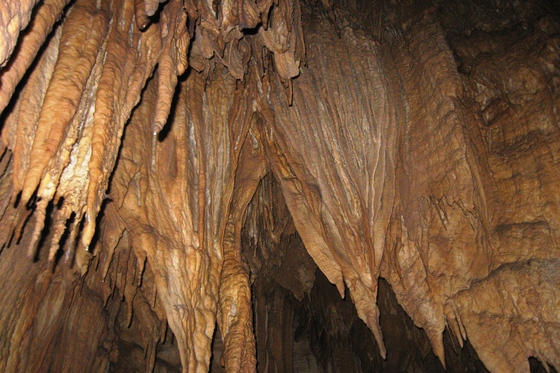 MAMMOTH CAVE NATIONAL PARK