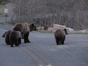 Glacier National Park