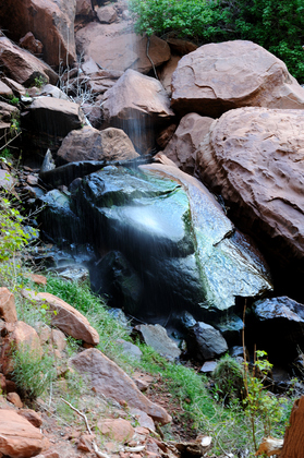 Zion National Park