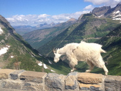 Glacier National Park