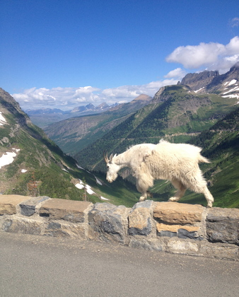 Glacier National Park