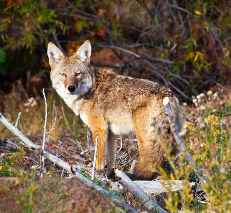 Rocky Mountain National Park