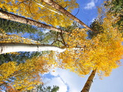 Rocky Mountain National Park