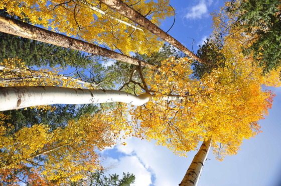 Rocky Mountain National Park