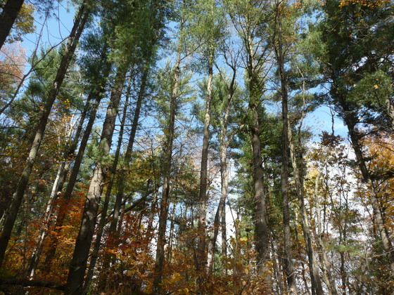 Cuyahoga Valley National Park