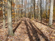 Cuyahoga Valley National Park