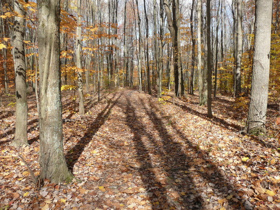 Cuyahoga Valley National Park
