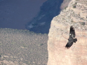 GRAND CANYON NATIONAL PARK