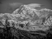 Denali National Park