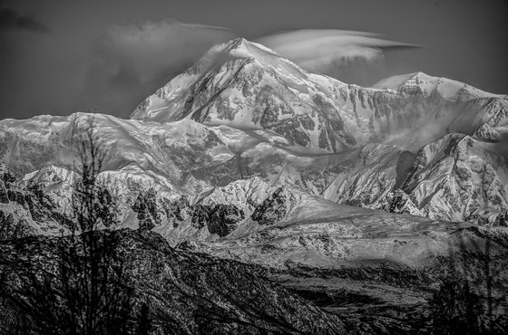 Denali National Park