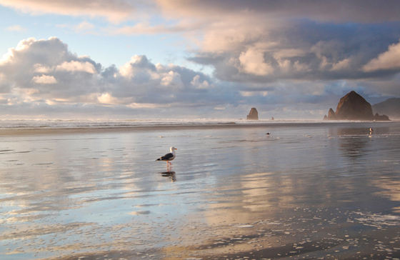 Oregon Islands National Wildlife Refuge