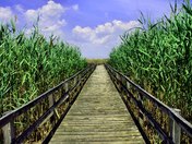 Back Bay National Wildlife Refuge