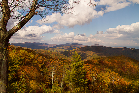 Shenandoah National Park 
