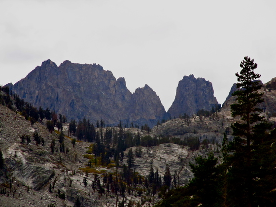Sequoia National Park