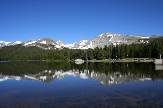 Roosevelt National Forest