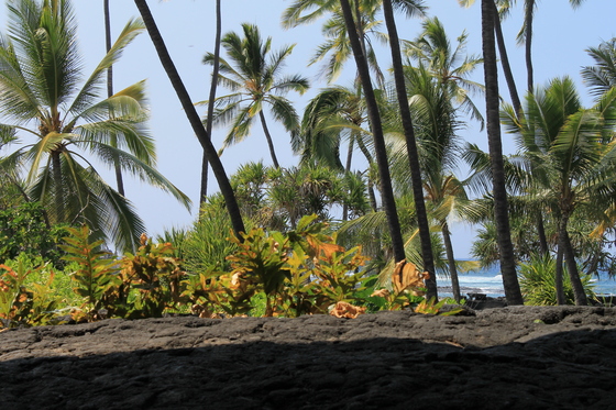 Pu uhonua O Honaunau